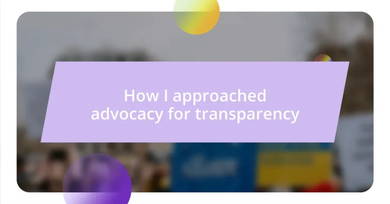 How I approached advocacy for transparency