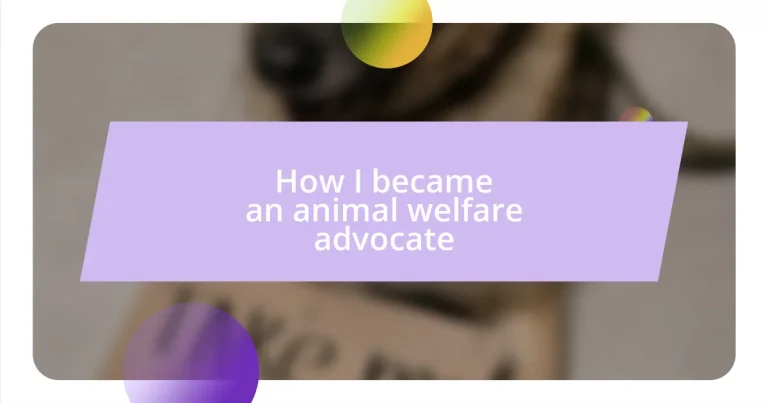 How I became an animal welfare advocate