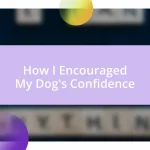 How I Encouraged My Dog’s Confidence