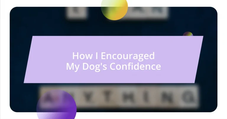 How I Encouraged My Dog’s Confidence