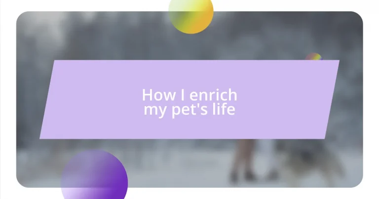 How I enrich my pet’s life