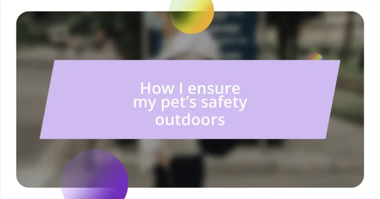 How I ensure my pet’s safety outdoors