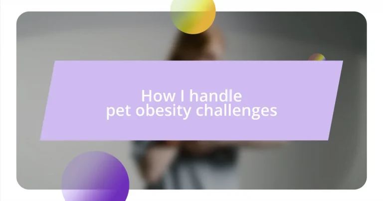 How I handle pet obesity challenges