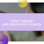 How I handle pet separation anxiety