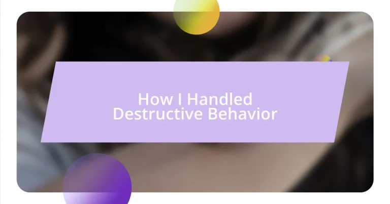 How I Handled Destructive Behavior