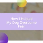 How I Helped My Dog Overcome Fear