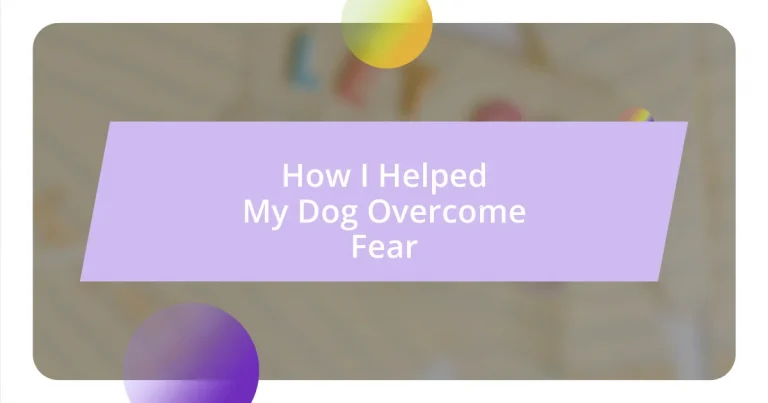 How I Helped My Dog Overcome Fear