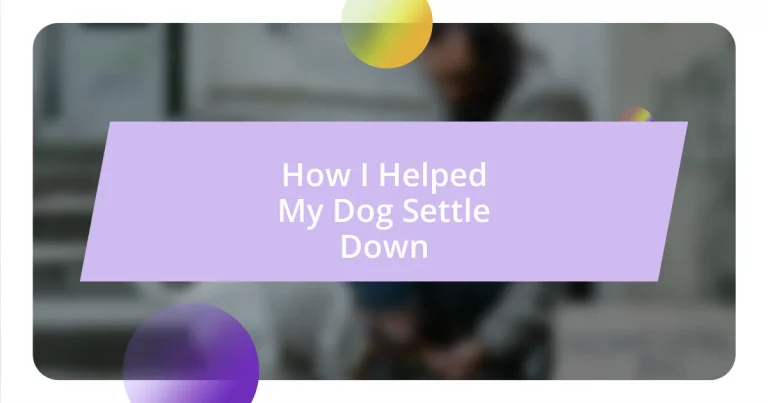 How I Helped My Dog Settle Down