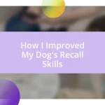 How I Improved My Dog’s Recall Skills