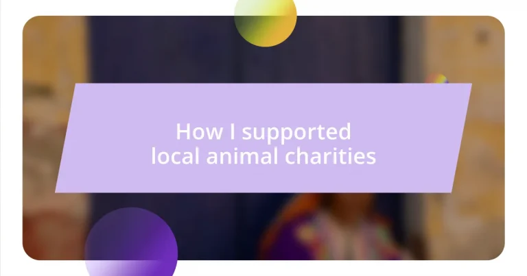 How I supported local animal charities