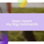 How I teach my dog commands