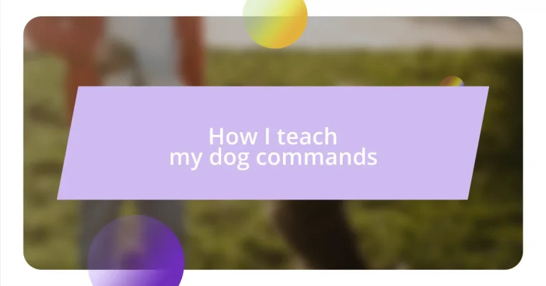 How I teach my dog commands