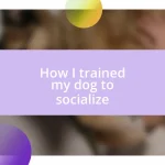 How I trained my dog to socialize