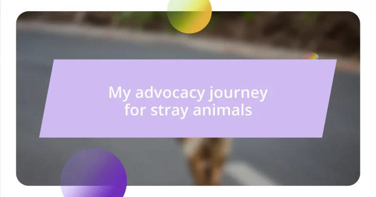 My advocacy journey for stray animals