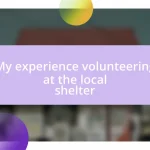 My experience volunteering at the local shelter