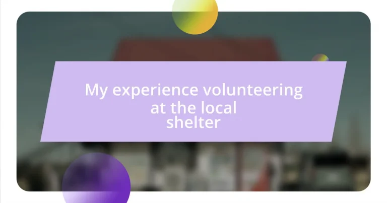 My experience volunteering at the local shelter