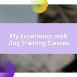 My Experience with Dog Training Classes