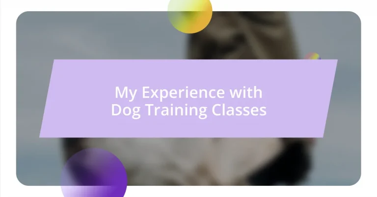 My Experience with Dog Training Classes