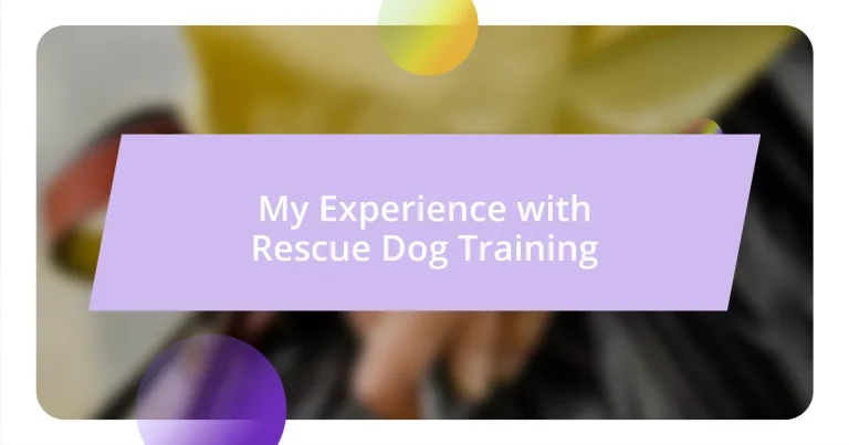 My Experience with Rescue Dog Training