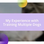 My Experience with Training Multiple Dogs