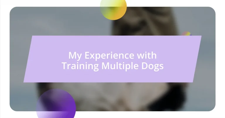 My Experience with Training Multiple Dogs