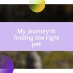 My journey in finding the right pet