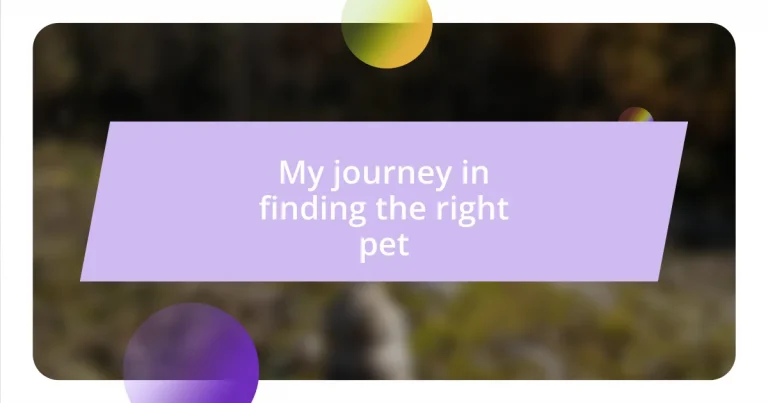 My journey in finding the right pet