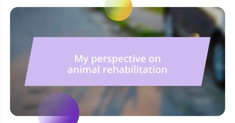 My perspective on animal rehabilitation