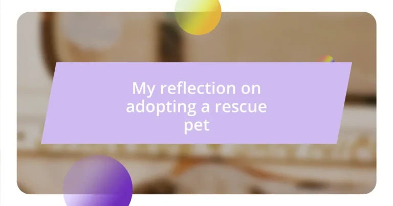 My reflection on adopting a rescue pet