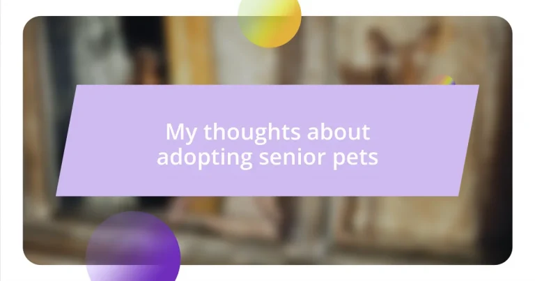 My thoughts about adopting senior pets