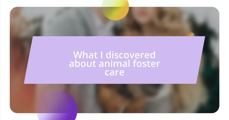 What I discovered about animal foster care