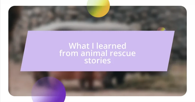 What I learned from animal rescue stories