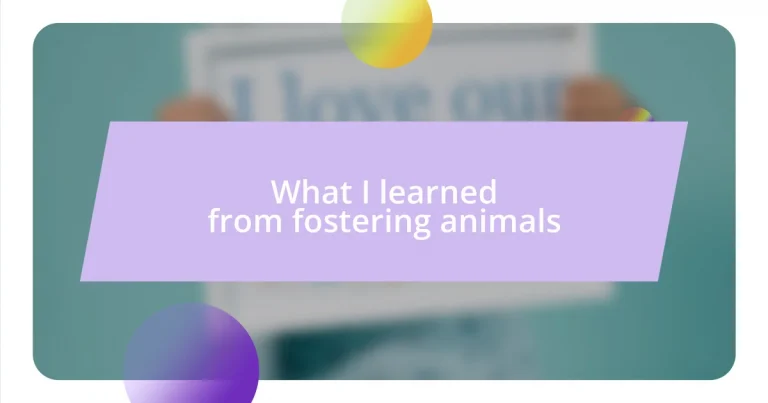 What I learned from fostering animals