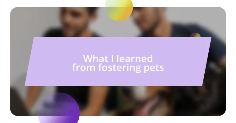 What I learned from fostering pets