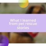 What I learned from pet rescue stories