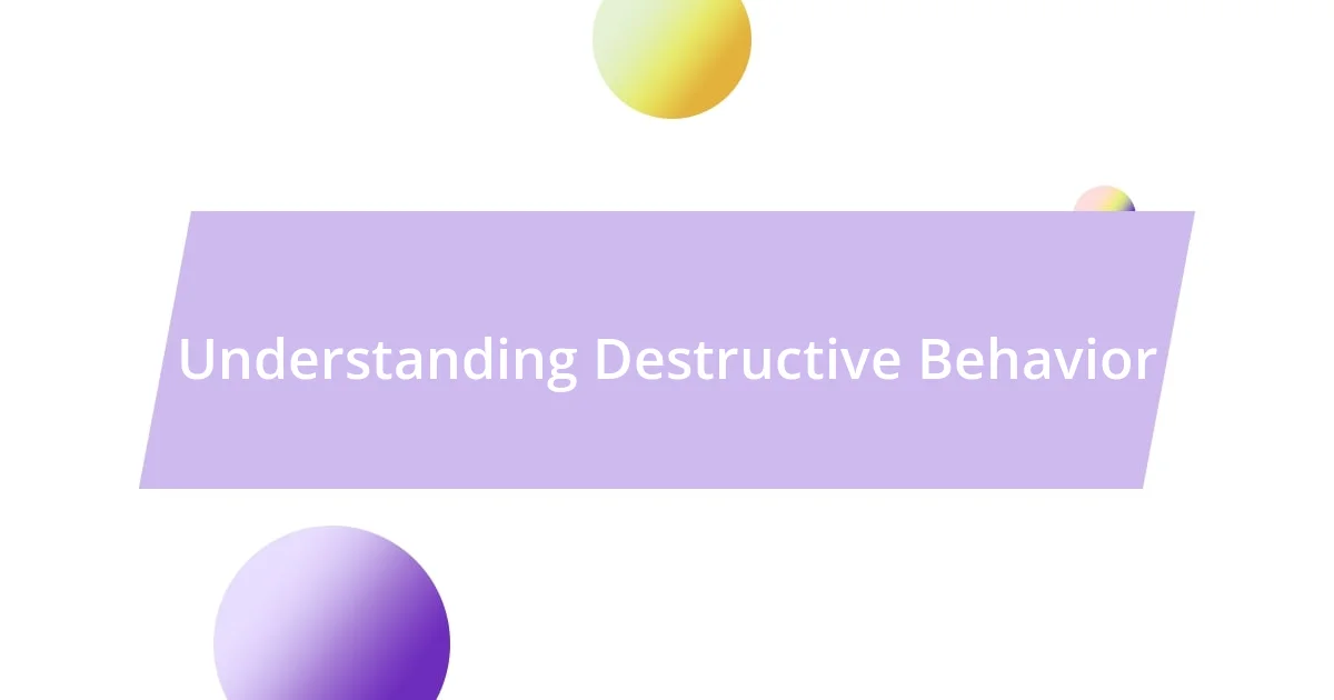 Understanding Destructive Behavior